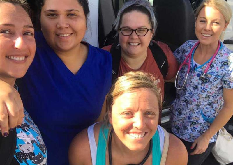 Carousel Slide 4: Dog veterinary care