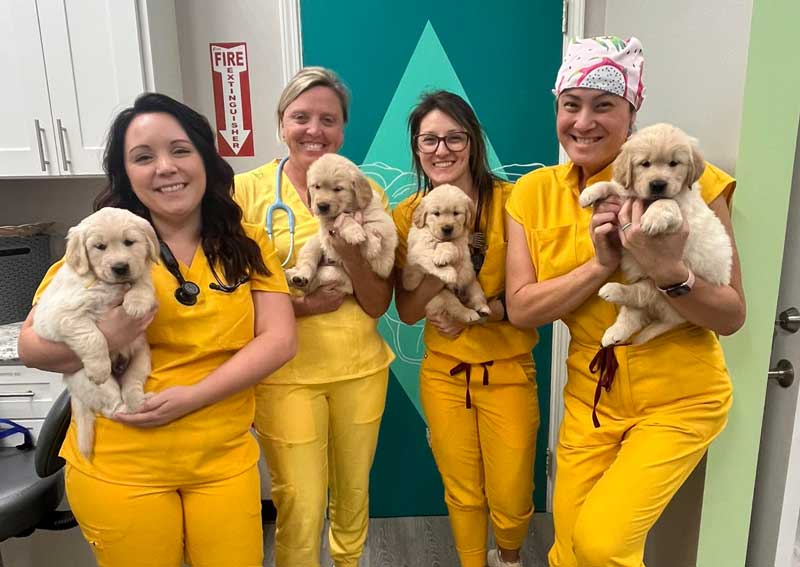 Carousel Slide 3: Meet our amazing team